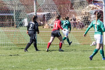 Bild 221 - F SG NieBar - IF Stjernen Flensborg : Ergebnis: 4:1